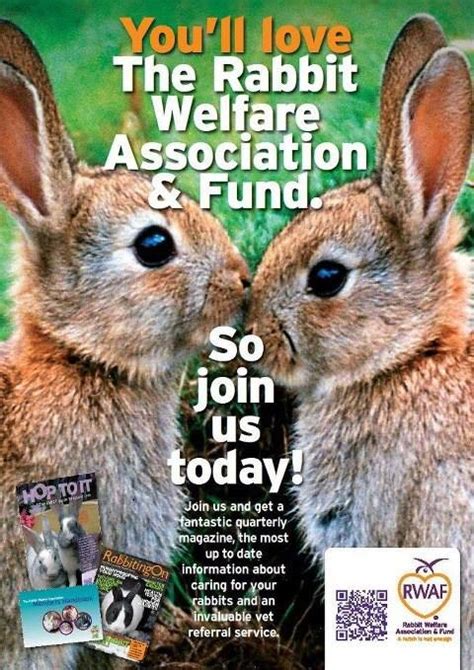 join the rwaf rabbit welfare association and fund rwaf