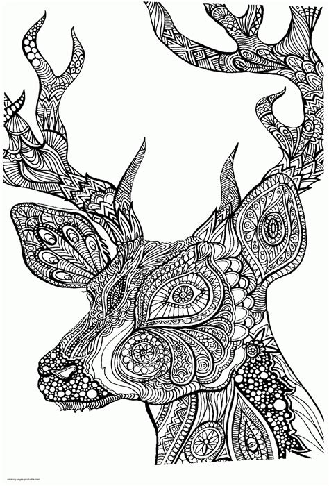 printable animal coloring pages  adults bird coloring