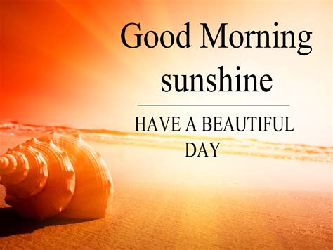 good morning sunshine quotes       motivational start