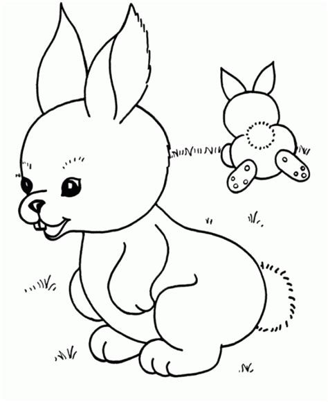 cute baby bunny colouring pages     easy  print