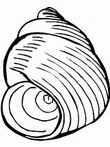 Seashell Coquillage Snail Colorier Clipartmag Getdrawings Coloriages Colornimbus sketch template