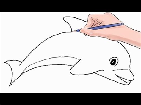 draw  dolphin easy step  step youtube