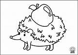 Kids Coloring Animals Pages Navigation Post Hedgehog sketch template