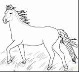Horse Coloring Pages Printable Mustang Horses Wild Head Appaloosa Pony Pretty Color Quarter Realistic Herd Print Getcolorings Cute Getdrawings Gypsy sketch template