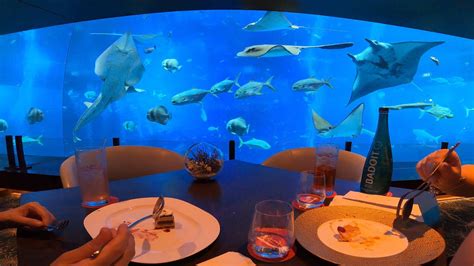fine dining  ocean restaurant