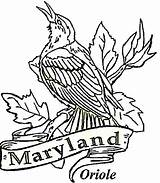 Coloring State Pages Maryland Bird Oriole Printable Iowa Baltimore Usa Color Drawing Birds Razorback Kids Arkansas Mlb Logo Blossom Apple sketch template
