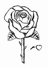 Roses Tatuaggi Fiori Copiare Bestcoloringpagesforkids Tipi Disegnare Frasi Luther Farfalle Nomi Incantevole Angeli Lettere Citazioni sketch template