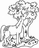 Horse Coloring Pages Eating Horses Apple Color Kids Projects Apples sketch template