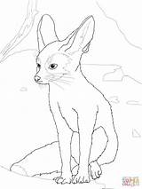 Fennec Fox Coloring Pages Drawing Wolf Color Baby Mountain Getdrawings Drawings Getcolorings Printable Supercoloring sketch template