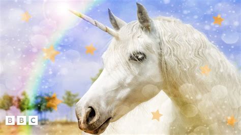 national unicorn day    bbc newsround