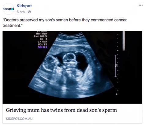 grieving mother conceives twins with dead son s sperm so that she can