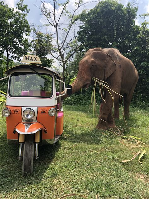 1 Day Tuk Tuk Tour Of Northern Thailand With A Driver