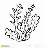 Plants Coloring Ocean Pages Template Sea Drawing sketch template
