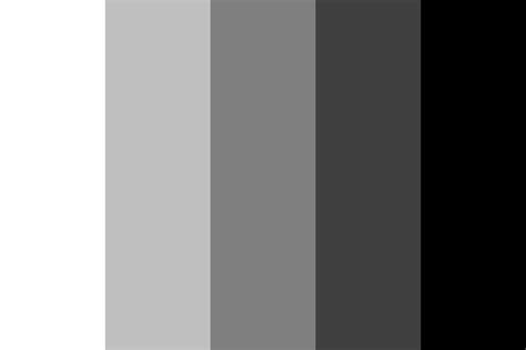 black  white color palette