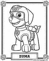 Zuma Patrol Coloring Paw Pages Printable Color Book sketch template
