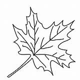 Coloring Malvorlagen Pages Leaves Leaf Maple Color Ausmalbilder Window Blätter Autumn Herbstblätter Kinder Fall Printable Blatt Tree Für Trees Herbst sketch template