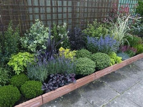 stunning border garden ideas   landscaping edging shrubs