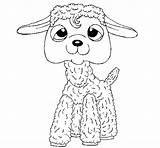 Lamb Ii Coloring Coloringcrew sketch template