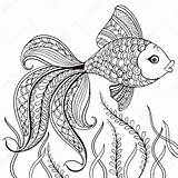Fish Decorative Pesce Disegnato Isolato Coloritura Sforzo Navigazione Nave Illustrazione sketch template