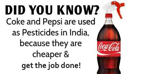 pepsi  coca cola   pesticide  india