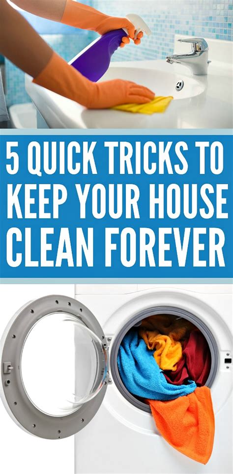 quick tricks  clean  house cleaning tips written reality