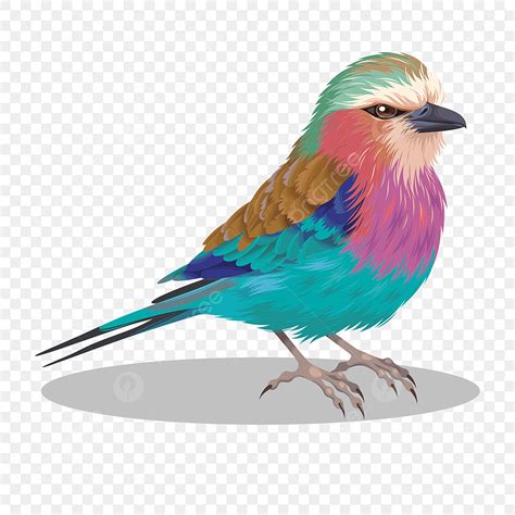 colorful bird clipart transparent png hd beautiful colorful colored