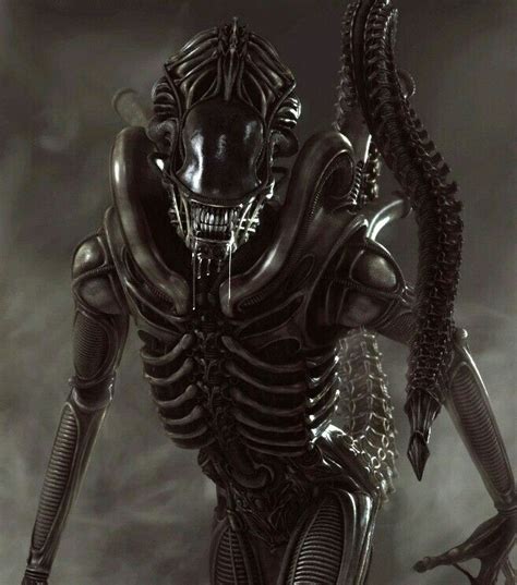 The 8 Best Aliens Images On Pinterest Alien Vs Predator