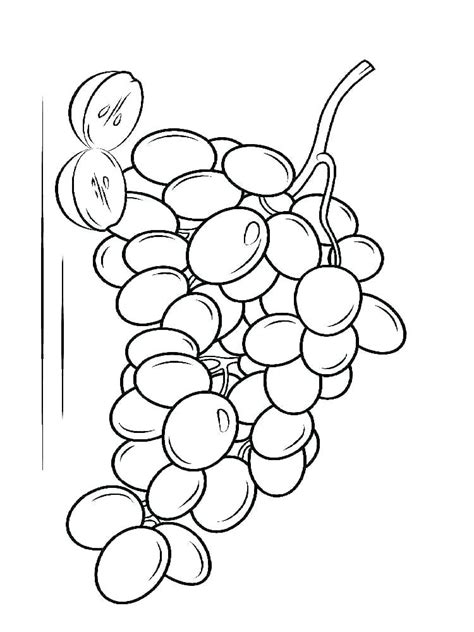 grape leaves coloring page coloring pages