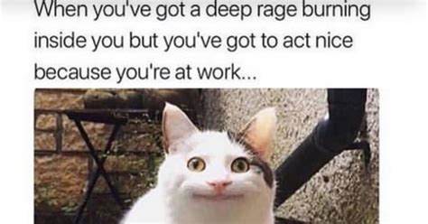 23 Workplace Memes That Will Make You Laugh Out Loud Inner Strength Zone
