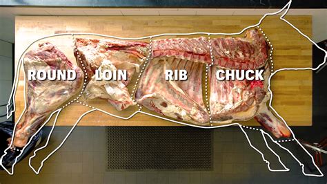 Watch How To Butcher An Entire Cow Every Cut Of Meat Explained