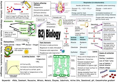 aqa gcse revision images  pinterest learning resources