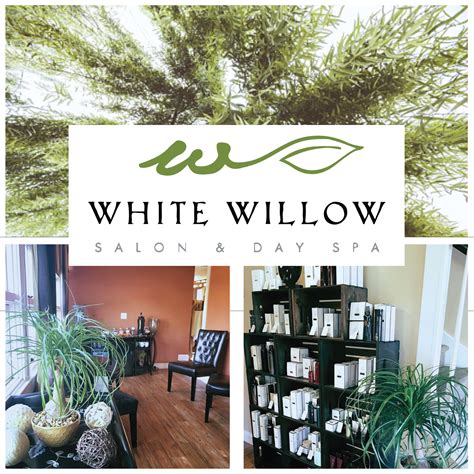 white willow salon day spa salon day spa