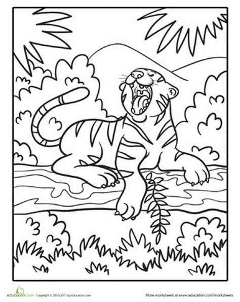 jungle tiger coloring page jungle coloring pages zoo coloring pages