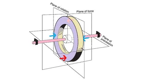 gyroscope history  degrees  freedom basic properties