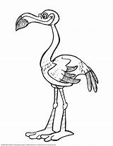 Ausmalbilder Flamencos Flamingos Coloringhome sketch template