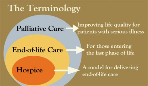 What Is The Difference Between Palliative Care And Hospice Hospice