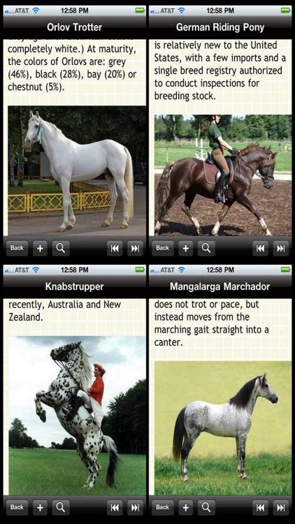 horse breed apps