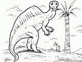 Dinosaurus Omalovanky Plateosaurus Baryonyx Dinosaurier Ouranosaurus Dinosaurios Dinossauros Pterodattilo Dinosauri Pteranodon Kolorowanka Omalovánka Dinozaury Dinosaures Ultrasaurus Parasaurolophus Polowanie Tyrannosaurus Dimetrodon sketch template