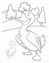 Duck Coloring Farm Pages House Bestcoloringpages Animal Kids Library Animals Insertion Codes sketch template