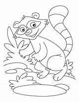 Raccoon Coloring Pages Mario Dog Printable Washer Print Template Everfreecoloring Popular Books sketch template