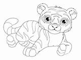 Coloring Tigers Kids Pages Simple Children Color sketch template