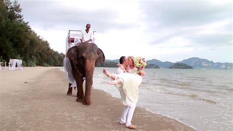 krabi elephant marriage ceremony package melissa jose
