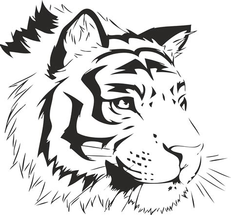 tiger stencil sticker  vector cdr  axisco