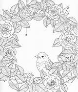 Nature Coloring Pages Adult Harmony Book Print Color Drawing Templates Choose Board Patterns Pattern sketch template