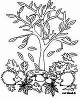 Malvorlage Baum Jahreszeiten sketch template