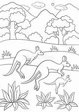Kangaroo Kangourou Coloration Canguro Coloritura Pagine Smiles Funzionamenti Famiglia Bambino Suo Vecteurs sketch template