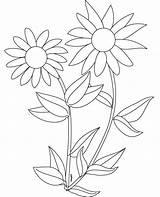 Sunflower Sonnenblume Sunflowers Ausmalbilder Coloringtop Malvorlagen Letzte Seite Preschooler sketch template