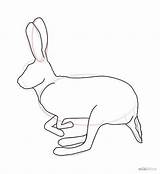 Drawing Hare Applique Nursery Paintings sketch template