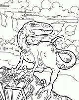 Velociraptor Dino Kolorowanki Dinosauri Dinosauro Dinosaurs Bestcoloringpagesforkids Deinonychus Montagna Scalando Raskrasil sketch template