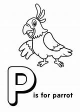 Tracing Abc Kolorowanka Parrot Alfabet Angielski Druku Litera Kolorowanki Coloringtop Język Birds Birijus 4kids sketch template